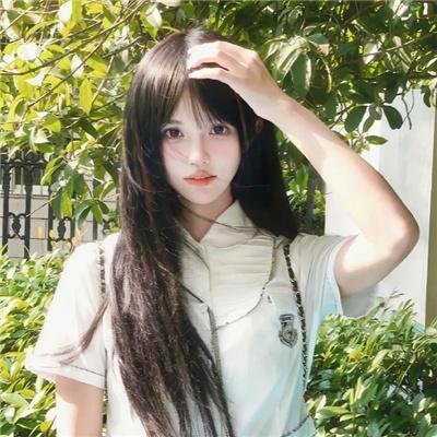 七彩狗海报