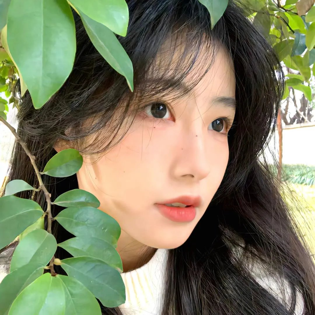 新蝶恋花焦点图